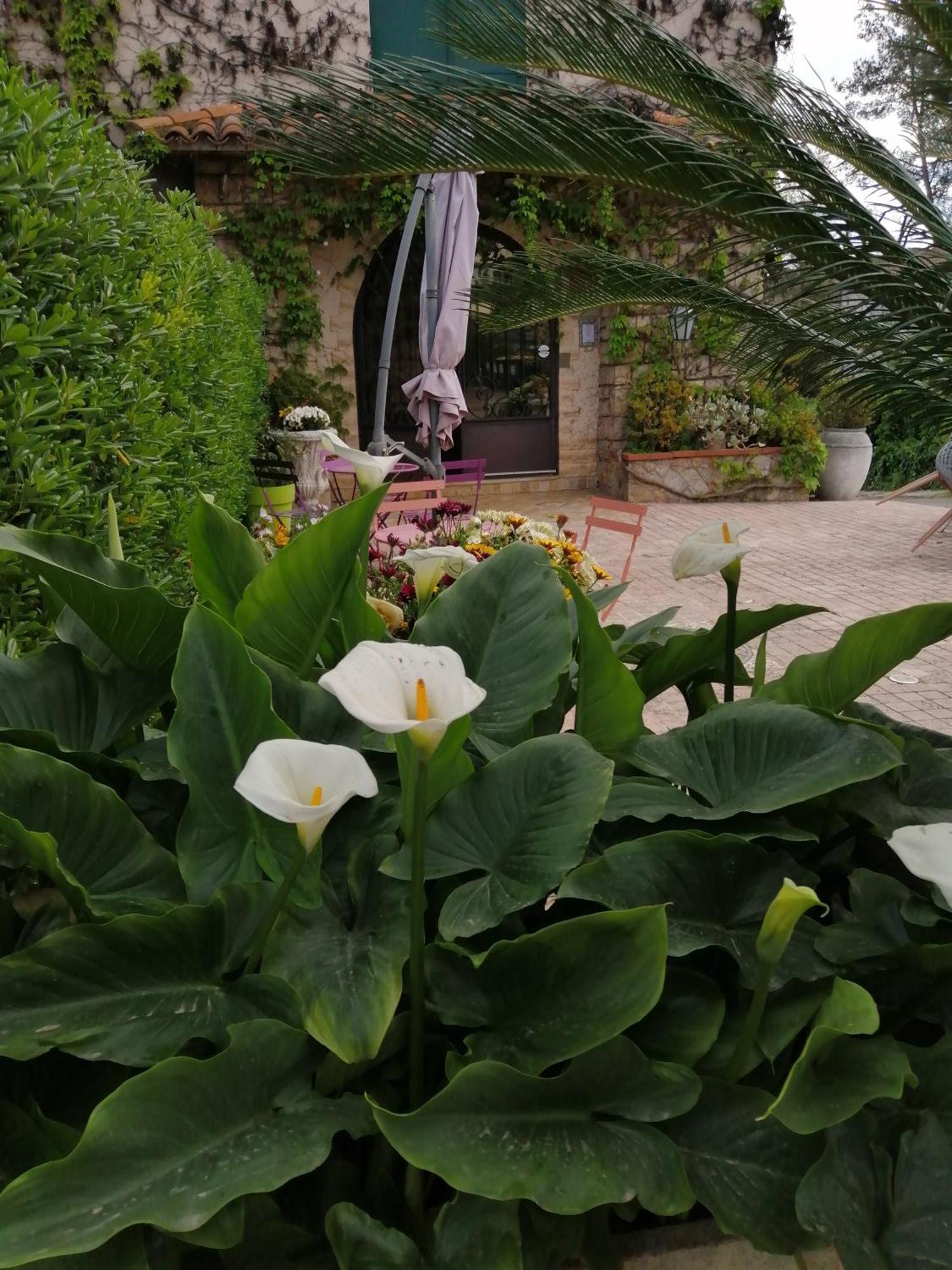 Hotel Auberge les Aromes à Grasse Extérieur photo